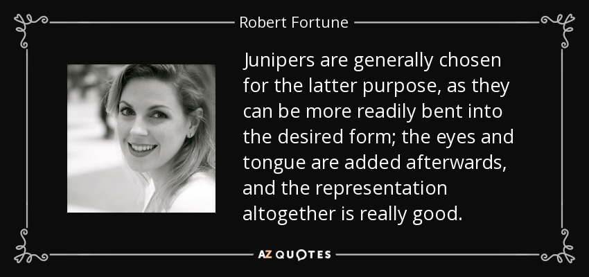 Junipers are generally chosen for the latter purpose, as they can be more readily bent into the desired form; the eyes and tongue are added afterwards, and the representation altogether is really good. - Robert Fortune