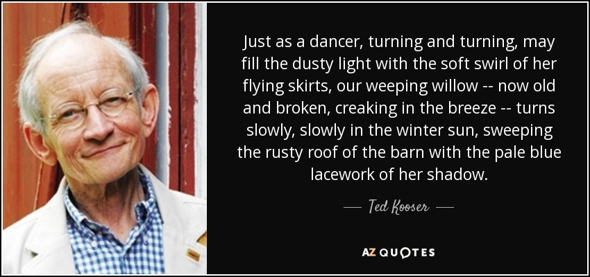 Just as a dancer, turning and turning, may fill the dusty light with the soft swirl of her flying skirts, our weeping willow -- now old and broken , creaking in the breeze -- turns slowly, slowly in the winter sun, sweeping the rusty roof of the barn with the pale blue lacework of her shadow. - Ted Kooser