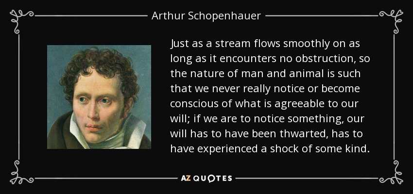 Just as a stream flows smoothly on as long as it encounters no obstruction, so the nature of man and animal is such that we never really notice or become conscious of what is agreeable to our will; if we are to notice something, our will has to have been thwarted, has to have experienced a shock of some kind. - Arthur Schopenhauer