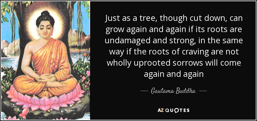 Just as a tree, though cut down, can grow again and again if its roots are undamaged and strong, in the same way if the roots of craving are not wholly uprooted sorrows will come again and again - Gautama Buddha