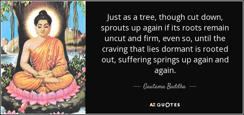 Just as a tree, though cut down, sprouts up again if its roots remain uncut and firm, even so, until the craving that lies dormant is rooted out, suffering springs up again and again. - Gautama Buddha
