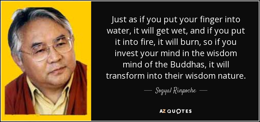 Just as if you put your finger into water, it will get wet, and if you put it into fire, it will burn, so if you invest your mind in the wisdom mind of the Buddhas, it will transform into their wisdom nature. - Sogyal Rinpoche
