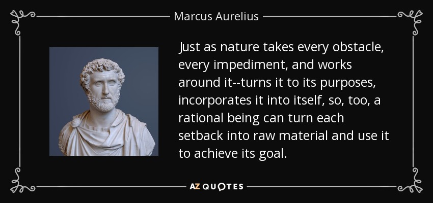 Just as nature takes every obstacle, every impediment, and works around it--turns it to its purposes, incorporates it into itself, so, too, a rational being can turn each setback into raw material and use it to achieve its goal. - Marcus Aurelius