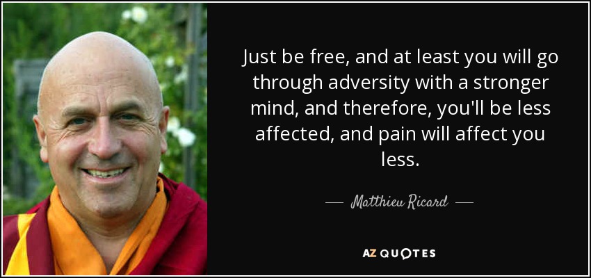 Just be free, and at least you will go through adversity with a stronger mind, and therefore, you'll be less affected, and pain will affect you less. - Matthieu Ricard