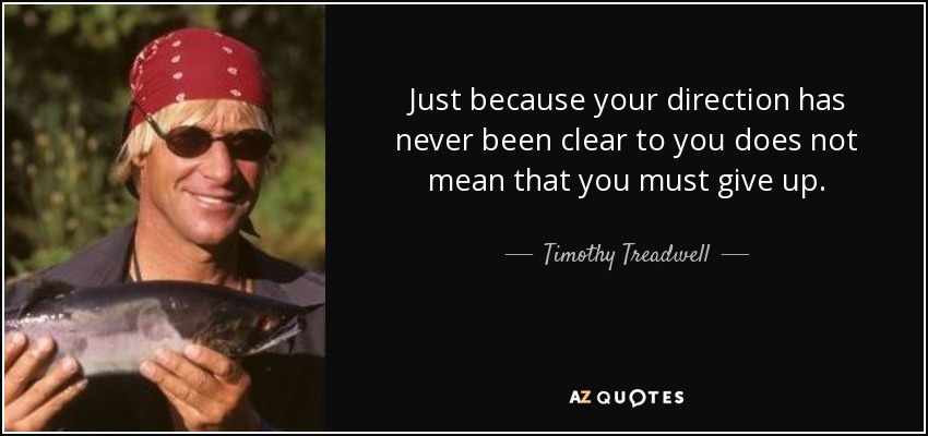 Just because your direction has never been clear to you does not mean that you must give up. - Timothy Treadwell