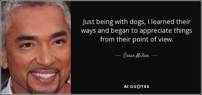 Just being with dogs, I learned their ways and began to appreciate things from their point of view. - Cesar Millan