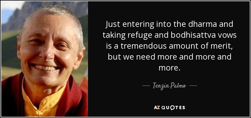 Just entering into the dharma and taking refuge and bodhisattva vows is a tremendous amount of merit, but we need more and more and more. - Tenzin Palmo