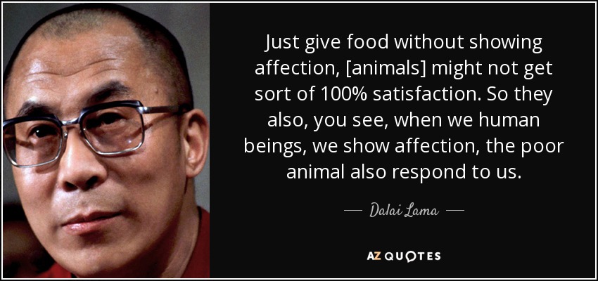 Just give food without showing affection, [animals] might not get sort of 100% satisfaction. So they also, you see, when we human beings, we show affection, the poor animal also respond to us. - Dalai Lama