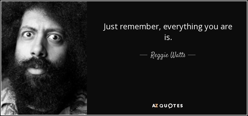 Just remember, everything you are is. - Reggie Watts