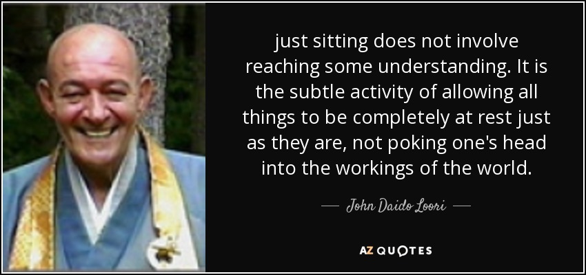 just sitting does not involve reaching some understanding. It is the subtle activity of allowing all things to be completely at rest just as they are, not poking one's head into the workings of the world. - John Daido Loori