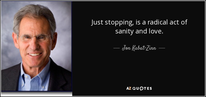 Just stopping, is a radical act of sanity and love. - Jon Kabat-Zinn