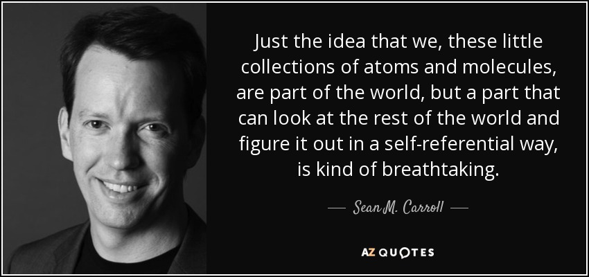 Just the idea that we, these little collections of atoms and molecules, are part of the world, but a part that can look at the rest of the world and figure it out in a self-referential way, is kind of breathtaking. - Sean M. Carroll