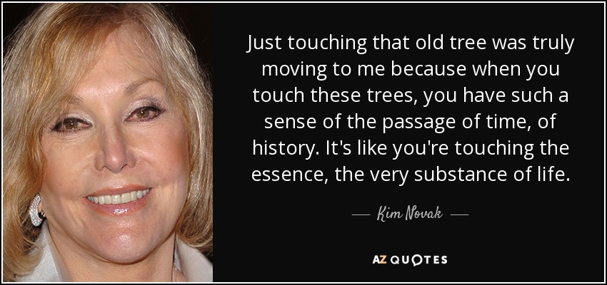 Just touching that old tree was truly moving to me because when you touch these trees, you have such a sense of the passage of time, of history. It's like you're touching the essence, the very substance of life. - Kim Novak
