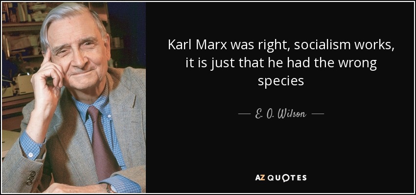 Karl Marx was right, socialism works, it is just that he had the wrong species - E. O. Wilson