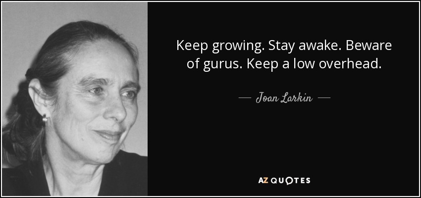 Keep growing. Stay awake. Beware of gurus. Keep a low overhead. - Joan Larkin