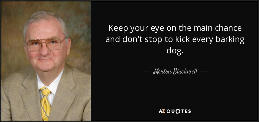 Keep your eye on the main chance and don't stop to kick every barking dog. - Morton Blackwell