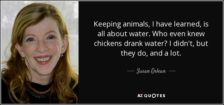 Keeping animals, I have learned, is all about water. Who even knew chickens drank water? I didn't, but they do, and a lot. - Susan Orlean