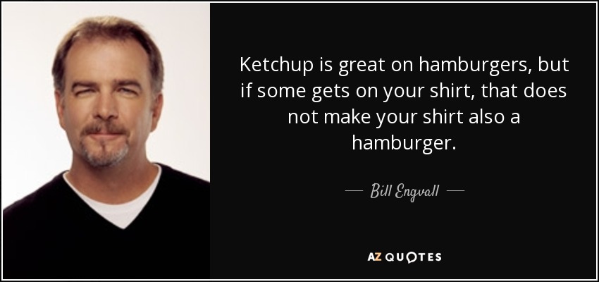 Ketchup is great on hamburgers, but if some gets on your shirt, that does not make your shirt also a hamburger. - Bill Engvall