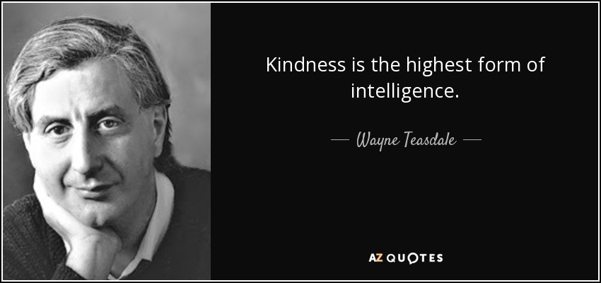 Kindness is the highest form of intelligence. - Wayne Teasdale