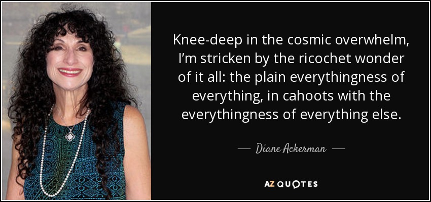 Knee-deep in the cosmic overwhelm, I’m stricken by the ricochet wonder of it all: the plain everythingness of everything, in cahoots with the everythingness of everything else. - Diane Ackerman