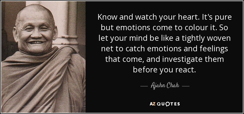 Know and watch your heart. It's pure but emotions come to colour it. So let your mind be like a tightly woven net to catch emotions and feelings that come, and investigate them before you react. - Ajahn Chah