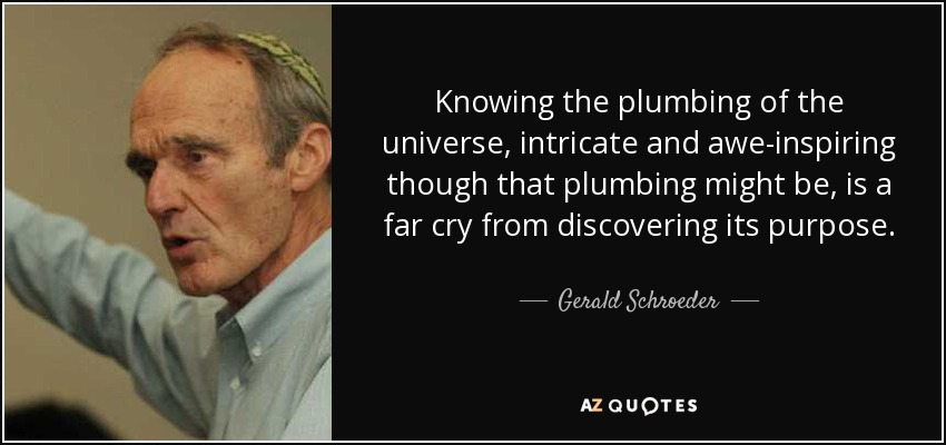 Knowing the plumbing of the universe, intricate and awe-inspiring though that plumbing might be, is a far cry from discovering its purpose. - Gerald Schroeder