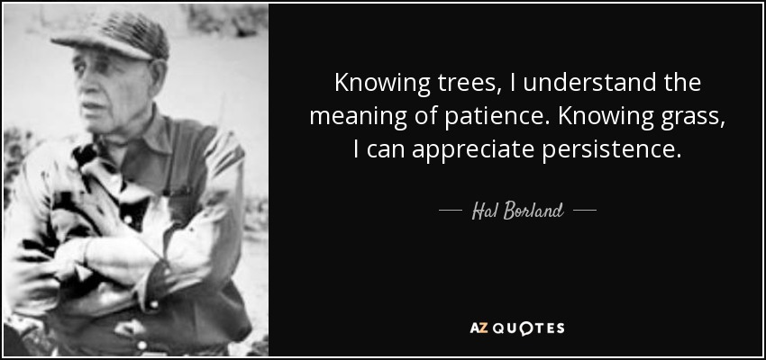 Knowing trees, I understand the meaning of patience. Knowing grass, I can appreciate persistence. - Hal Borland