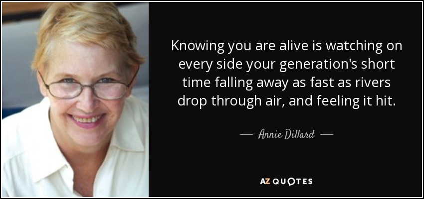 Knowing you are alive is watching on every side your generation's short time falling away as fast as rivers drop through air, and feeling it hit. - Annie Dillard