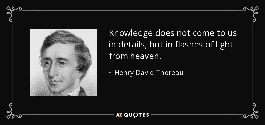 Knowledge does not come to us in details, but in flashes of light from heaven. - Henry David Thoreau