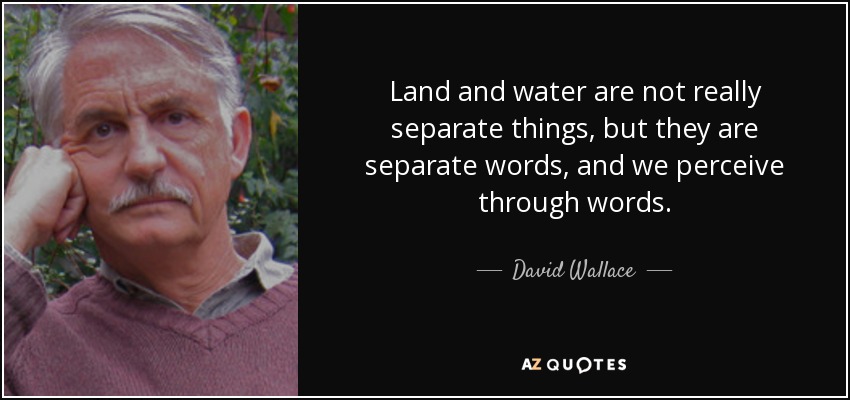 Land and water are not really separate things, but they are separate words, and we perceive through words. - David Wallace