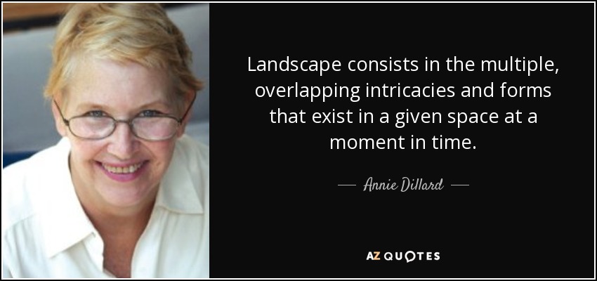 Landscape consists in the multiple, overlapping intricacies and forms that exist in a given space at a moment in time. - Annie Dillard
