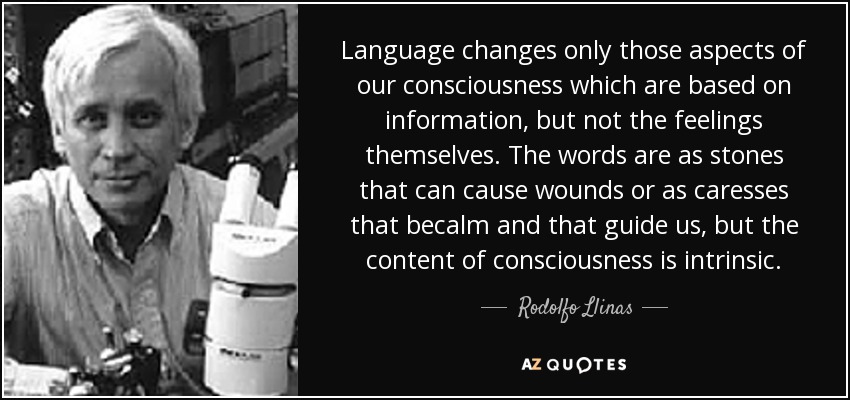 Language changes only those aspects of our consciousness which are based on information, but not the feelings themselves. The words are as stones that can cause wounds or as caresses that becalm and that guide us, but the content of consciousness is intrinsic. - Rodolfo Llinas