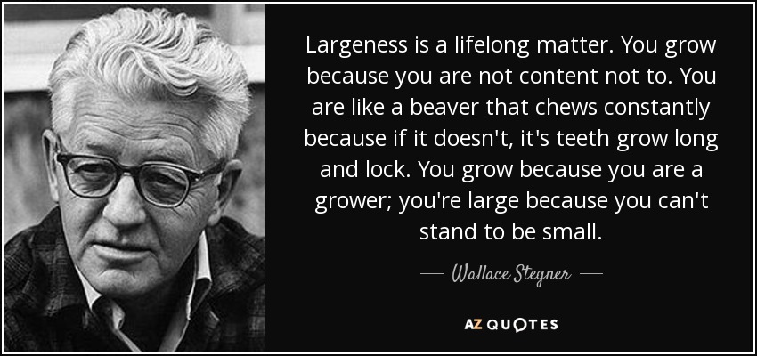 Largeness is a lifelong matter. You grow because you are not content not to. You are like a beaver that chews constantly because if it doesn't, it's teeth grow long and lock. You grow because you are a grower; you're large because you can't stand to be small. - Wallace Stegner