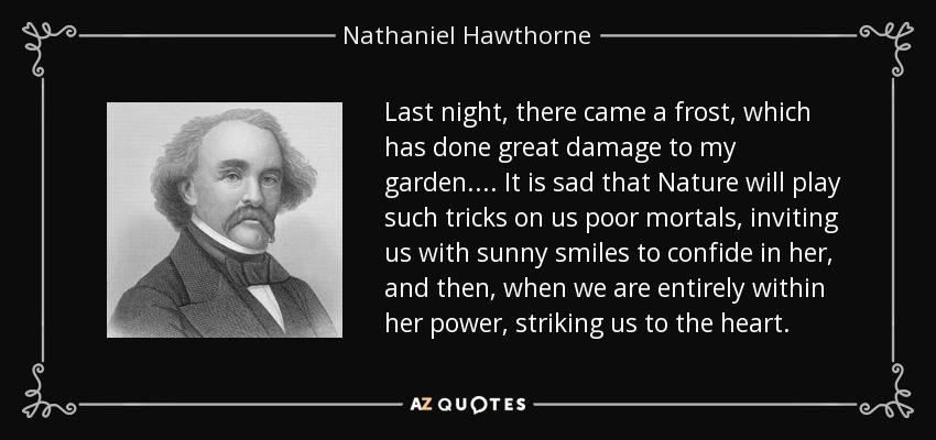 Last night, there came a frost, which has done great damage to my garden.... It is sad that Nature will play such tricks on us poor mortals, inviting us with sunny smiles to confide in her, and then, when we are entirely within her power, striking us to the heart. - Nathaniel Hawthorne