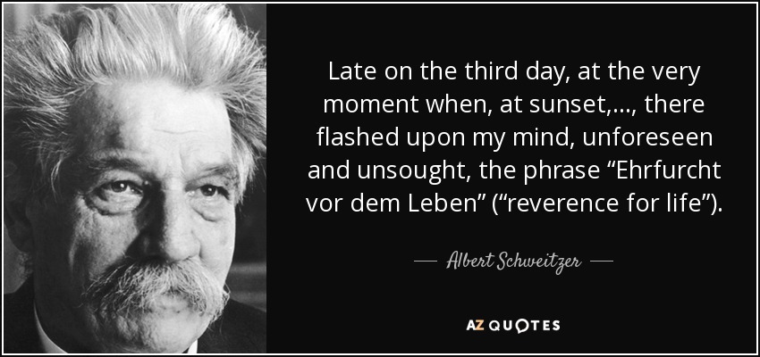 Late on the third day, at the very moment when, at sunset, ..., there flashed upon my mind, unforeseen and unsought, the phrase “Ehrfurcht vor dem Leben” (“reverence for life”). - Albert Schweitzer