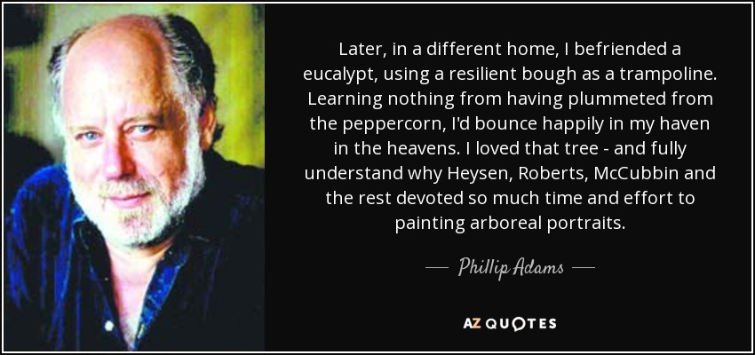 Later, in a different home, I befriended a eucalypt, using a resilient bough as a trampoline. Learning nothing from having plummeted from the peppercorn, I'd bounce happily in my haven in the heavens. I loved that tree - and fully understand why Heysen, Roberts, McCubbin and the rest devoted so much time and effort to painting arboreal portraits. - Phillip Adams