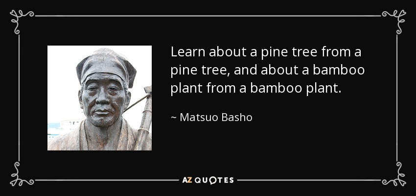 Learn about a pine tree from a pine tree, and about a bamboo plant from a bamboo plant. - Matsuo Basho