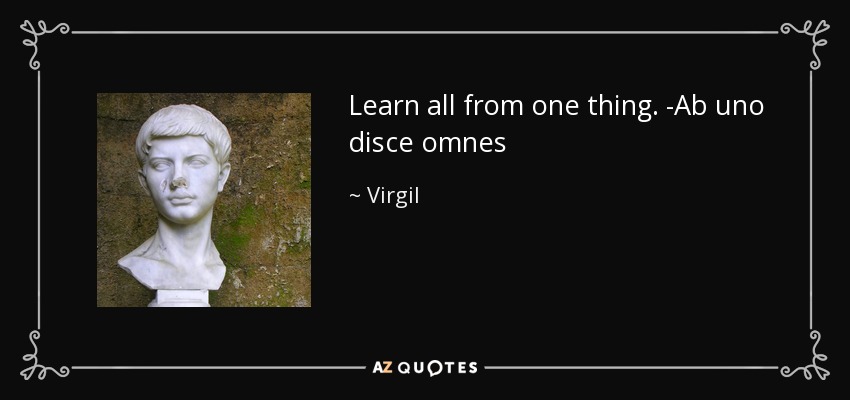 Learn all from one thing. -Ab uno disce omnes - Virgil