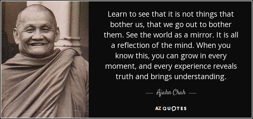 Learn to see that it is not things that bother us, that we go out to bother them. See the world as a mirror. It is all a reflection of the mind. When you know this, you can grow in every moment, and every experience reveals truth and brings understanding. - Ajahn Chah