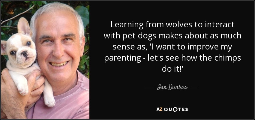Learning from wolves to interact with pet dogs makes about as much sense as, 'I want to improve my parenting - let's see how the chimps do it!' - Ian Dunbar