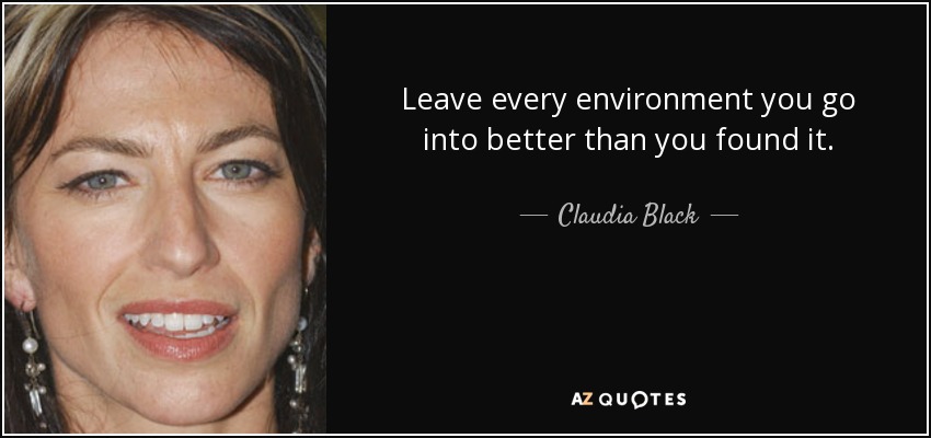 Leave every environment you go into better than you found it. - Claudia Black