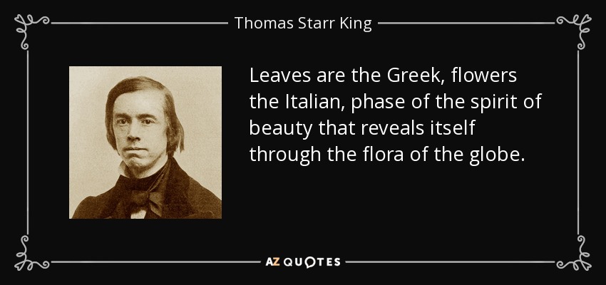 Leaves are the Greek, flowers the Italian, phase of the spirit of beauty that reveals itself through the flora of the globe. - Thomas Starr King