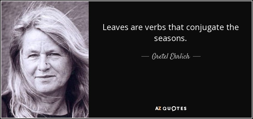 Leaves are verbs that conjugate the seasons. - Gretel Ehrlich