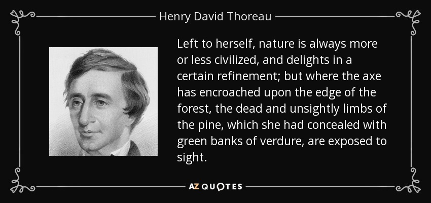 Left to herself, nature is always more or less civilized, and delights in a certain refinement; but where the axe has encroached upon the edge of the forest, the dead and unsightly limbs of the pine, which she had concealed with green banks of verdure, are exposed to sight. - Henry David Thoreau