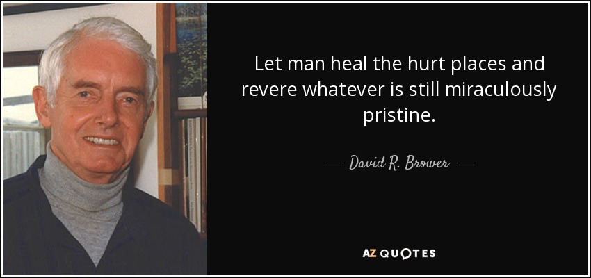 Let man heal the hurt places and revere whatever is still miraculously pristine. - David R. Brower