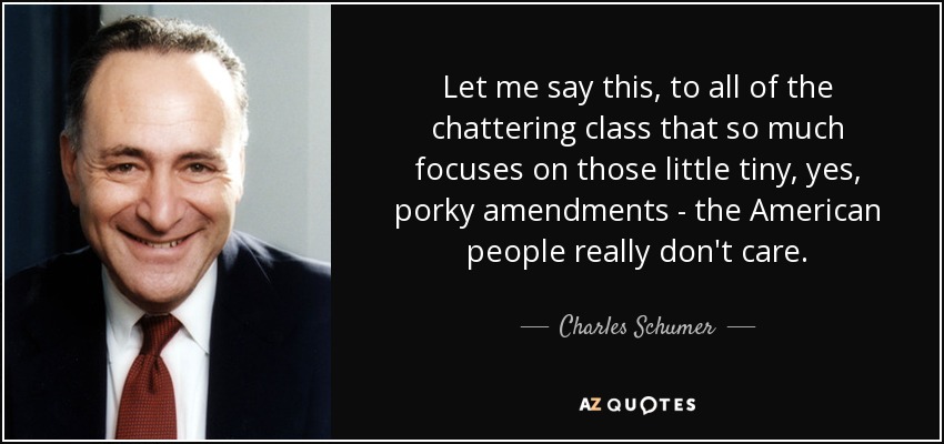 Let me say this, to all of the chattering class that so much focuses on those little tiny, yes, porky amendments - the American people really don't care. - Charles Schumer