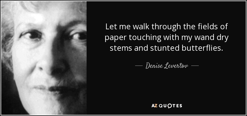 Let me walk through the fields of paper touching with my wand dry stems and stunted butterflies. - Denise Levertov