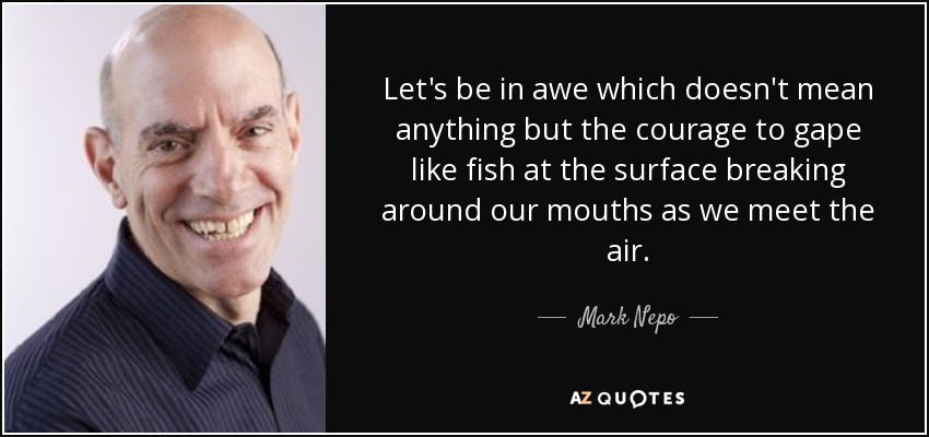 Let's be in awe which doesn't mean anything but the courage to gape like fish at the surface breaking around our mouths as we meet the air. - Mark Nepo