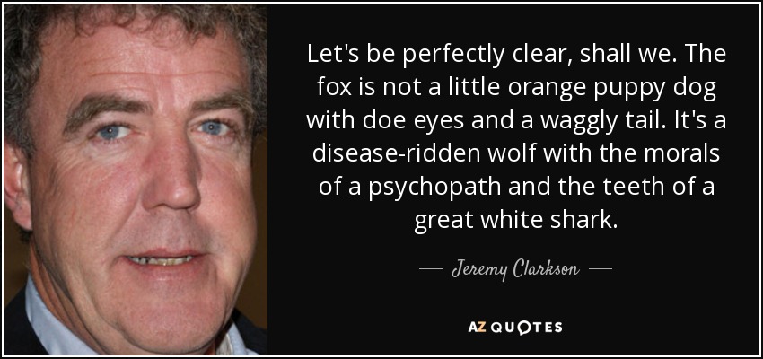 Let's be perfectly clear, shall we. The fox is not a little orange puppy dog with doe eyes and a waggly tail. It's a disease-ridden wolf with the morals of a psychopath and the teeth of a great white shark. - Jeremy Clarkson