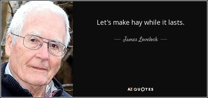 Let's make hay while it lasts. - James Lovelock